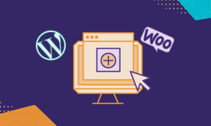 image of woocommerce guide 2024